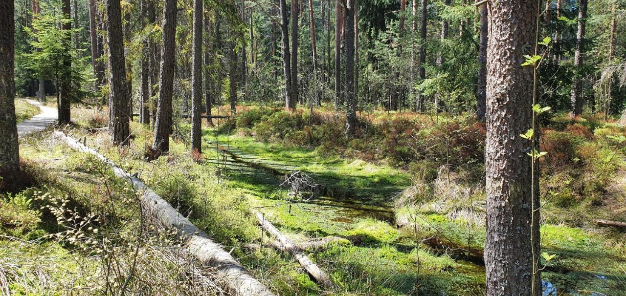 Eco Domek Z Duzym Ogrodem I Widokiem Murzasichle Exterior foto