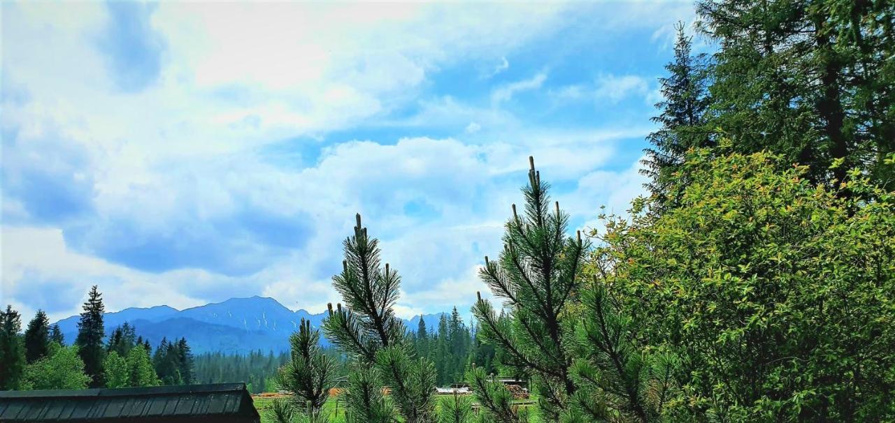 Eco Domek Z Duzym Ogrodem I Widokiem Murzasichle Exterior foto