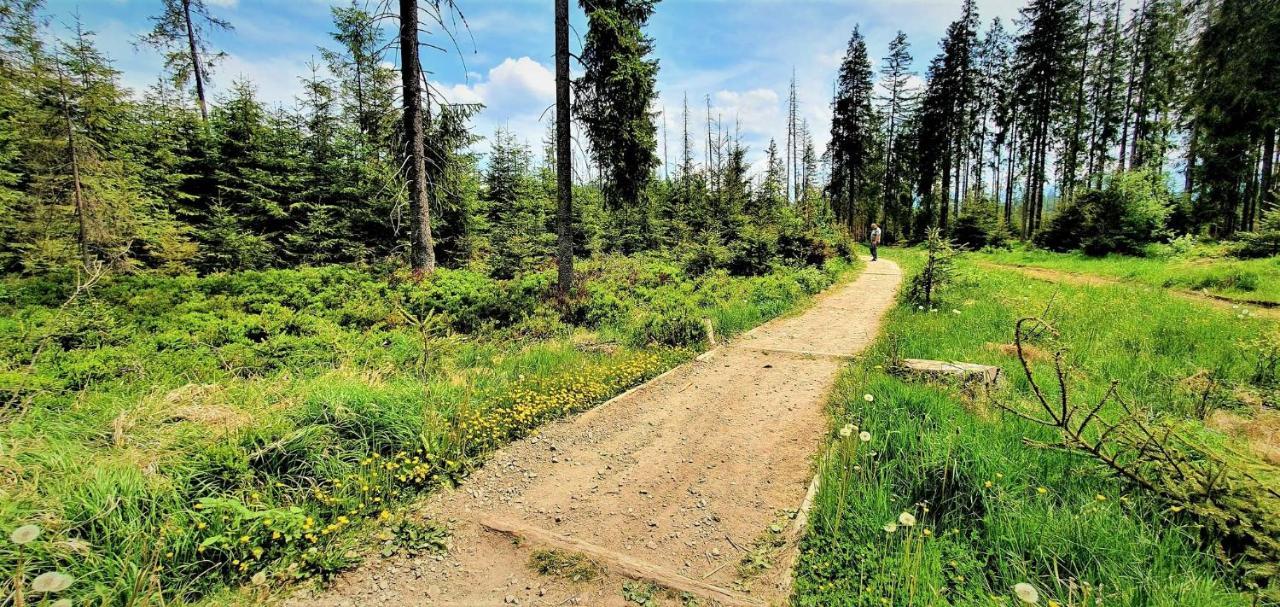 Eco Domek Z Duzym Ogrodem I Widokiem Murzasichle Exterior foto