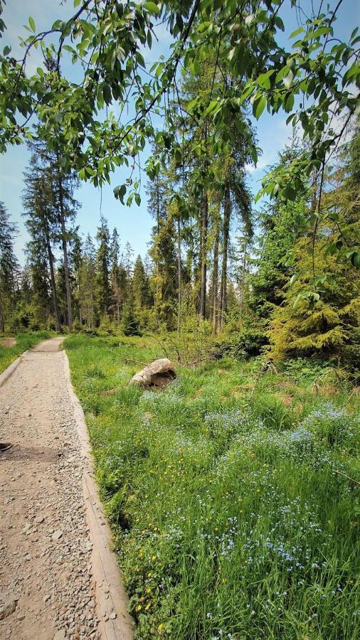 Eco Domek Z Duzym Ogrodem I Widokiem Murzasichle Exterior foto
